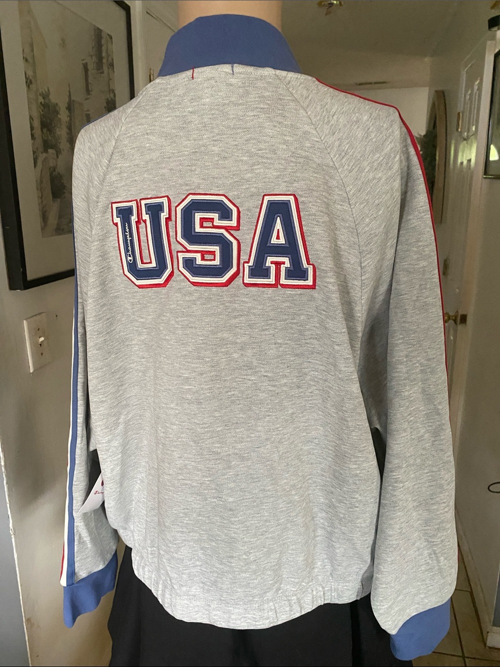 Champion nwt Light Gray USA Sweatshirt with Gold Embroidered Logo - Picture 6 of 10